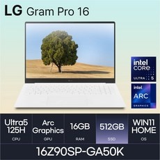 ◀ 2024년 실사용 인플들이 추천하는▶ 16z90sp-ga50k 할인 아이템 상위 5