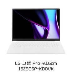 지금 당장 봐야할 16z90sp-kdovk 최저가 상품 TOP 5 지금 당장 봐야할 16z90sp-kdovk 최저가 상품 TOP 5
