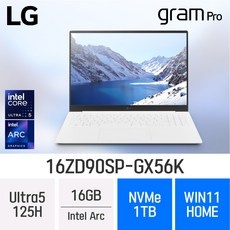 최고의 선택 16zd90sp-gx56k 추천 정보 TOP 5