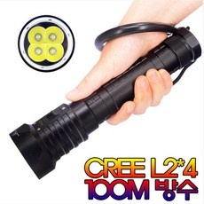 경제적인 dx4s 최저가 정보 탑 9