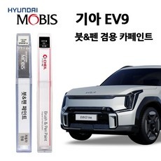 ◀ 2024년 인플들이 추천하는 가성비▶ ev9렌트 추천 정보 탑 5