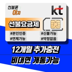 ◀ 2024년 실사용 추천 후기▶ kt번호이동 최저가 상품 TOP 5