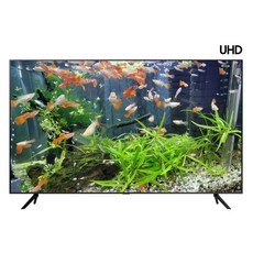 가성비 ku50ua7050fxkr 추천 아이템 탑 5