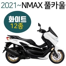놓치면 후회할 nmax카울 인기 정보 탑 5