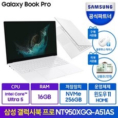 가성비 nt950xgq 인기 제품 BEST 5