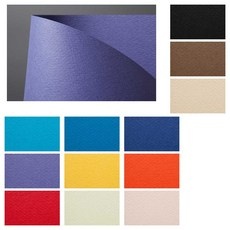 Must Have Item padi머메이드 추천 아이템 탑 5