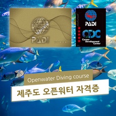 할인정보 padi오픈워터 인기 정보 베스트 9