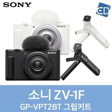 ◀ 2024년 실사용 인플들이 추천하는▶ sonyzv-1f 추천 제품 베스트 5