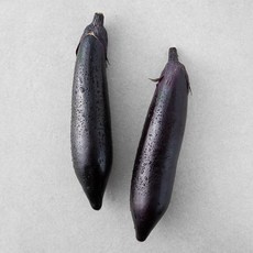 경제적인 가지 할인 정보 탑 9