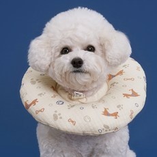 Must Have Item 강아지넥카라 추천 정보 탑 5