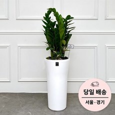 특가 개업화분배달 추천 제품 상위 9