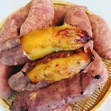 ◀ 2024년 너무 갖고싶은 가성비템▶ 고구마 추천 정보 리스트 9