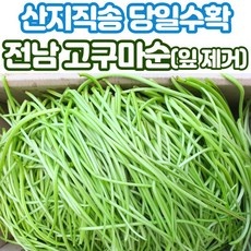 Must Have Item 고구마줄기 최저가 상품 리스트 9
