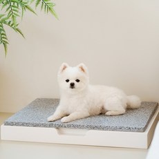 최고의 선택 고양이대리석 인기 아이템 리스트 5