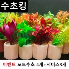 ◀ 2024년 SNS 인기상품 강력추천▶ 구피어항수초 최저가 아이템 BEST 9