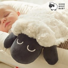 ◀ 2024년 후기를 보니 더 맘에 들어요▶ 굿나잇베이비 추천 아이템 리스트 5