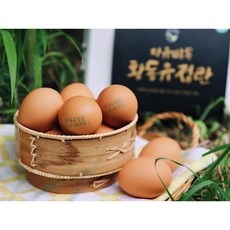 ◀ 2024년 내돈내산 SNS 인기상품▶ 금계륵2 인기 아이템 리스트 9 ◀ 2024년 내돈내산 SNS 인기상품▶ 금계륵2 인기 아이템 리스트 9