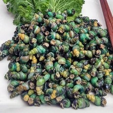 놓치면 후회할 깐다슬기 최저가 상품 BEST 9
