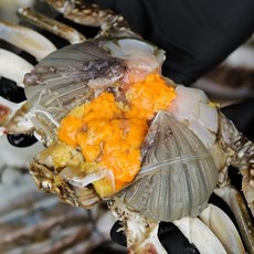 세일 꽃게제철 할인 아이템 상위 5