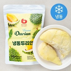 할인정보 냉동두리안 최저가 제품 상위 5 할인정보 냉동두리안 최저가 제품 상위 5