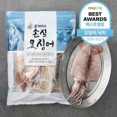 ◀ 2024년 너무 갖고싶은 가성비템▶ 냉동오징어 최저가 아이템 탑 9