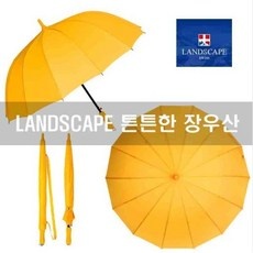 ◀ 2024년 내돈내산 실사용 강추후기▶ 노란색우산 인기 정보 BEST 5