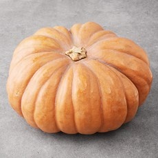 세일 늙은호박 추천 정보 상위 9