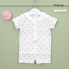 Must Have Item 달퐁내의 인기 제품 TOP 9