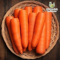 놓치면 후회할 당근 10kg 최저가 아이템 베스트 5