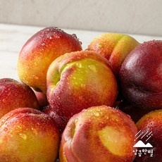 놓치면 후회할 대극천복숭아 인기 제품 리스트 5