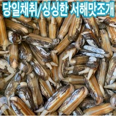 ◀ 2024년 실사용 가성비가 너무 좋아요▶ 대맛조개 최저가 정보 상위 9
