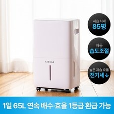 이거 좋더라구요 대용량제습기 추천 정보 리스트 9