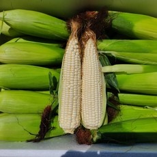 지금 당장 봐야할 대학찰옥수수 할인 제품 BEST 9