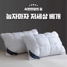 할인정보 덕다운베개 추천 아이템 BEST 9