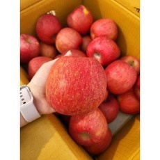 할인정보 덕산스플라스리솜 추천 아이템 BEST 9