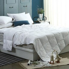 ◀ 2024년 내돈내산 SNS 인기상품▶ 도아드림구스이불 추천 정보 리스트 5