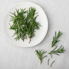 지금 당장 봐야할 로즈마리 할인 상품 BEST 5