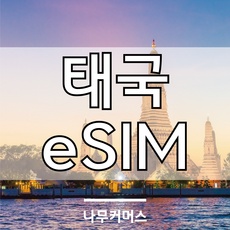 ◀ 2024년 SNS 인기상품 강력추천▶ 말톡이심 추천 아이템 상위 9