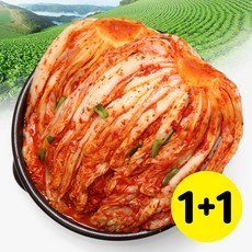 할인정보 맛있는김치 인기 상품 상위 9
