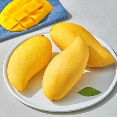 유용한 망고 할인 아이템 BEST 5