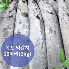 ◀ 2024년 후기를 보니 더 맘에 들어요▶ 먹갈치 추천 정보 베스트 5