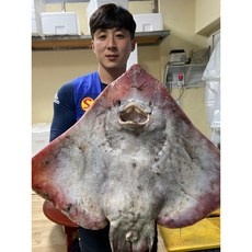 ◀ 2024년 후기를 보니 더 맘에 들어요▶ 목포모텔 최저가 정보 TOP 5 ◀ 2024년 후기를 보니 더 맘에 들어요▶ 목포모텔 최저가 정보 TOP 5