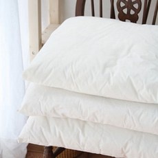 놓치면 후회할 목화솜방석 할인 정보 베스트 5