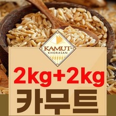 가성비 몬앤무트프렌즈 추천 아이템 리스트 5