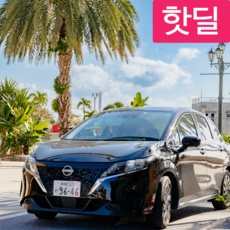 ◀ 2024년 실사용 추천 후기▶ 무심사장기렌트카 최저가 제품 베스트 3
