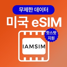 가성비 미국esim 할인 상품 상위 5