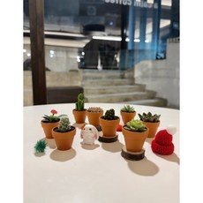 ◀ 2024년 너무 갖고싶은 가성비템▶ 미니선인장 추천 정보 상위 9