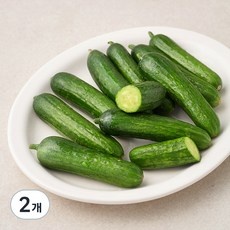 ◀ 2024년 SNS 인기상품 강력추천▶ 미니오이 인기 상품 상위 9