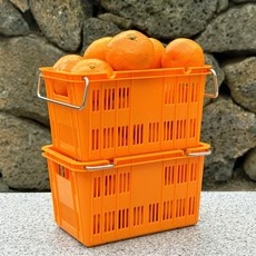 신상품 미니컨테이너 할인 정보 상위 5