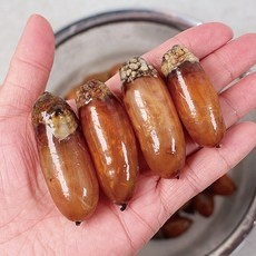 ◀ 2024년 실사용 인플들이 추천하는▶ 미더덕회 추천 제품 탑 9